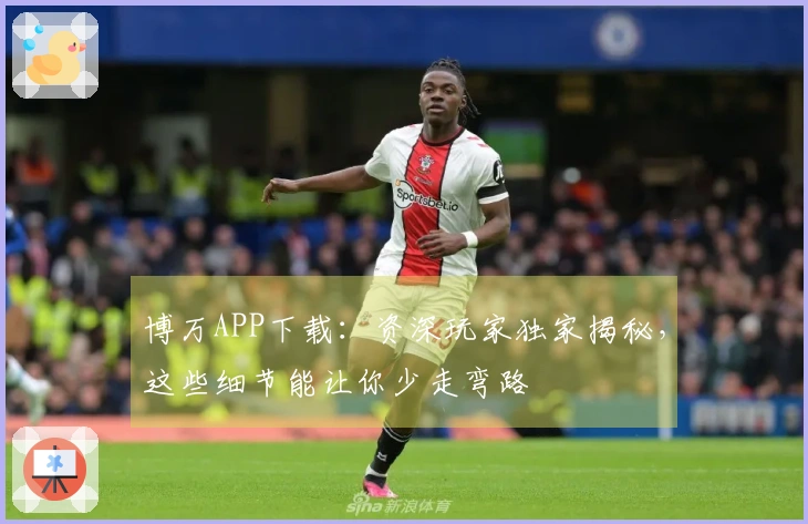 博万APP下载：资深玩家独家揭秘，这些细节能让你少走弯路