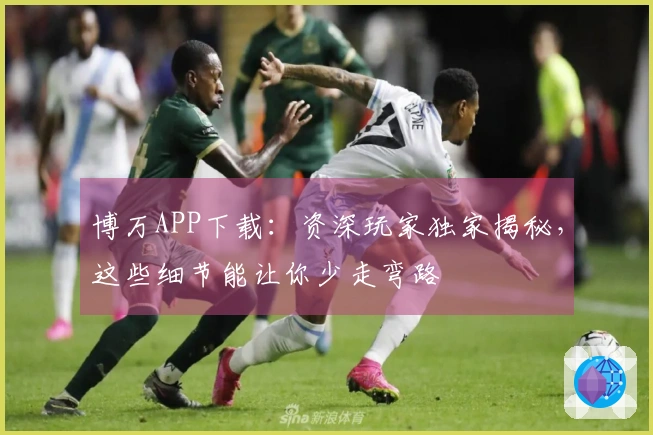 博万APP下载：资深玩家独家揭秘，这些细节能让你少走弯路